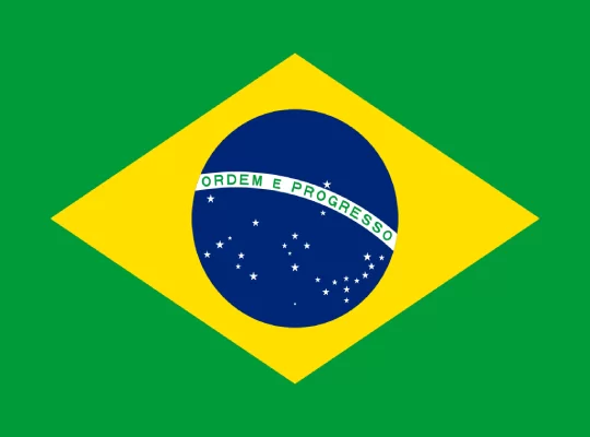 Brazil Business Email Database